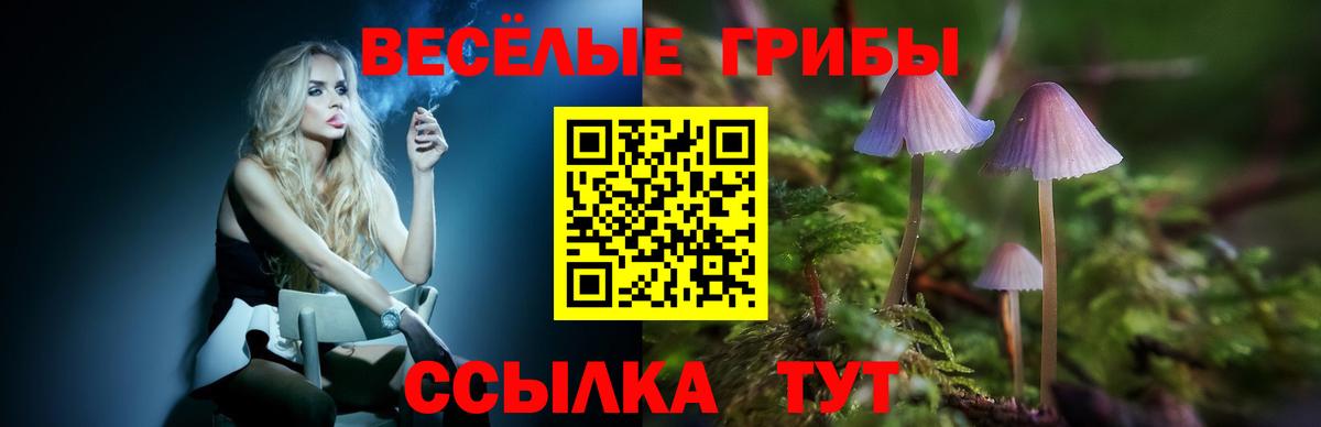 Псилоцибиновые грибы мухоморы  Вход с VPN  Красноперекопск  Псилоцибиновые грибы GOLDEN TEACHER 